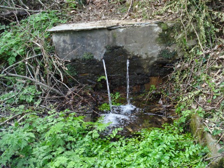 FUENTE DE LA RIGUEIRA